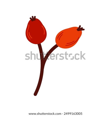 Similar – Image, Stock Photo These are rosehips