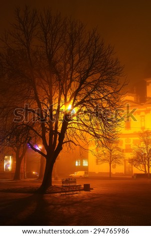 tree in the light of a lantern in the fog. Night city