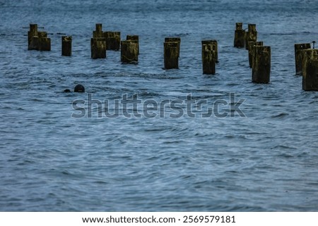 Similar – Image, Stock Photo See Baltic Sea