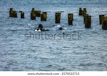 Similar – Image, Stock Photo See Baltic Sea