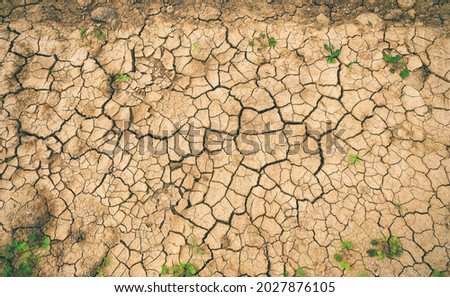 Drought surface. Cracked soil. Climate changes the soil.  Foto stock © 