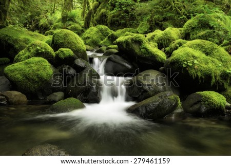 Waterfalls in Pacific Northwest