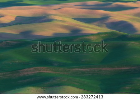 Green rolling hills in eastern Washington area