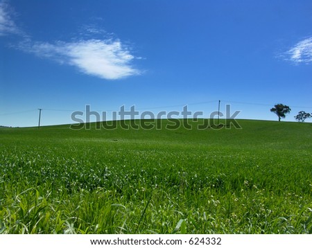 A Green Hill with telephone wires