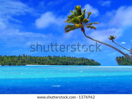 Palm Tree on One Foot Island