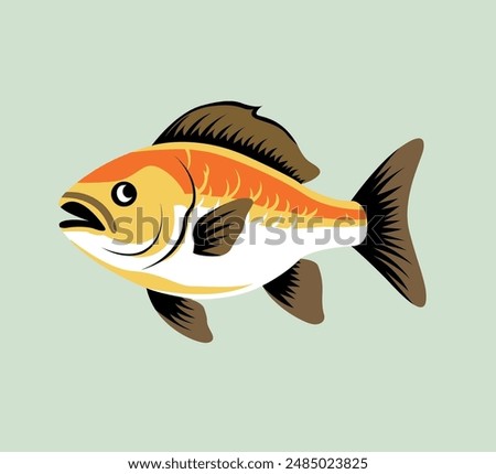 aquarium fish vector illustration on solid background