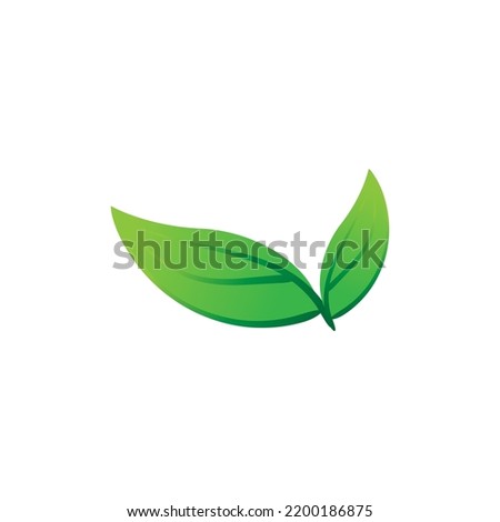 Two leaf logo vector graphic design