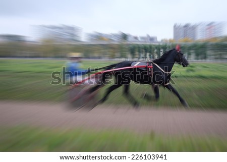 image of a carriage, horse and rider on a horse race at the track