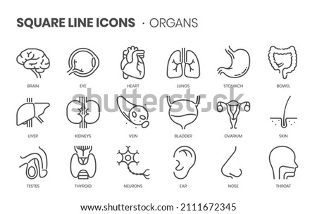 Organs related, pixel perfect, editable stroke, up scalable square line vector icon set.
