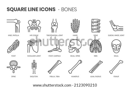 Bones related, pixel perfect, editable stroke, up scalable square line vector icon set. Foto d'archivio © 