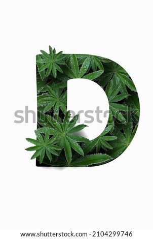 The English letter of the alphabet D, isolated on a white background. Stylized with a collage of a photo of a lupin flower leaf. Concept: graphic design, decorated font. Photo stock © 