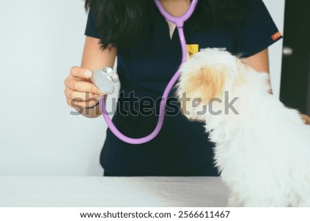 Similar – Image, Stock Photo Female veterinarian doctor uses ear drops to treat a cat