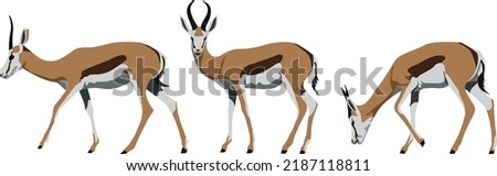 Colored gazelle walk, idle, and eat pose (vector)