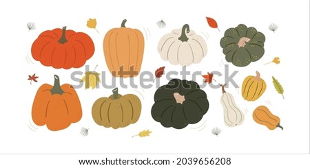 Collection of Autumn colored Pumkin, Autumn, Fall,Maple leaf ,Squash,gourd, Thanksgiving and Halloween Elements. Foto stock © 