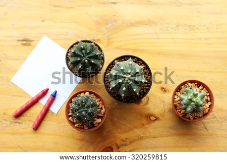 Still Life Natural Three Cactus Plants on Vintage White Wood Background Texture with Note Paper