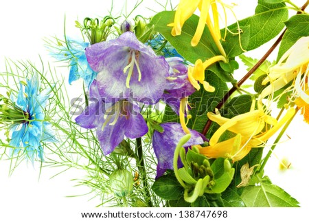 Bouquet  of wildflowers  isolated on a white background
