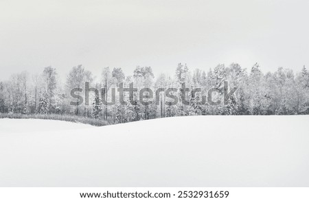 Similar – Image, Stock Photo Sports field in winter in Neukölln