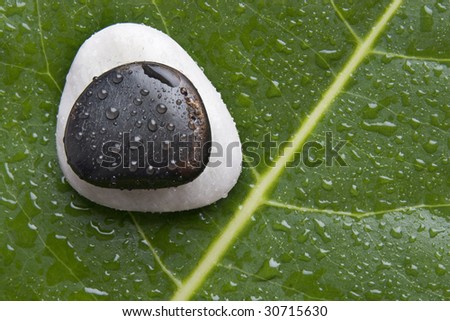 River rock on a leaf, with beads of water