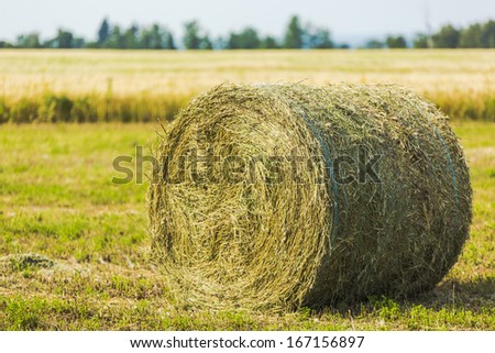 Hay bale after the fall harvest