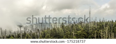 The natural landscape looking from the highest point in Tennessee at the summit of Clingmans Dome in the Great Smoky Mountains National Park