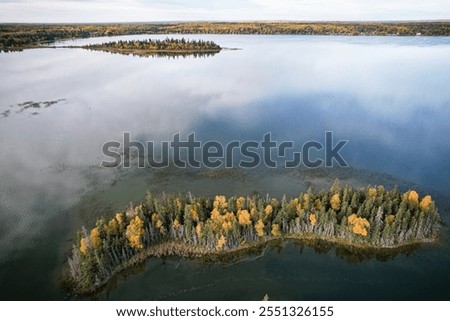 Similar – Image, Stock Photo Small stage Park Forest