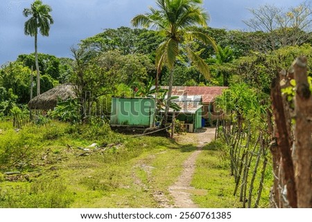 Similar – Image, Stock Photo A few wooden huts and many bushes and trees are standing around on a hilly green meadow landscape in the nature park Ammergau Alps in Upper Bavaria and a piece of bicycle path can be seen as well.