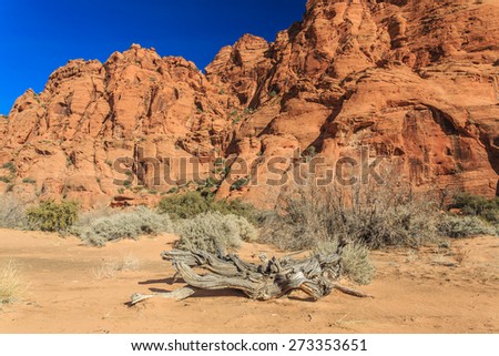 Snow Canyon State Park is a state park of Utah, USA, featuring a canyon carved from the red and white Navajo sandstone in the Red Mountains. The park is located near Ivins, Utah and St. George.