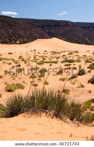 Coral Pink Sand Dunes State Park is a Utah state  that features coral-hued sand dunes located beside red sandstone cliffs.