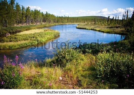 Northern Canadian river and natural forest. Clean and untouched by man.