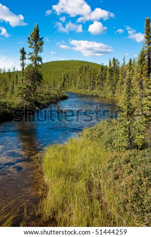 Northern Canadian river and natural forest. Clean, peaceful and untouched by man.