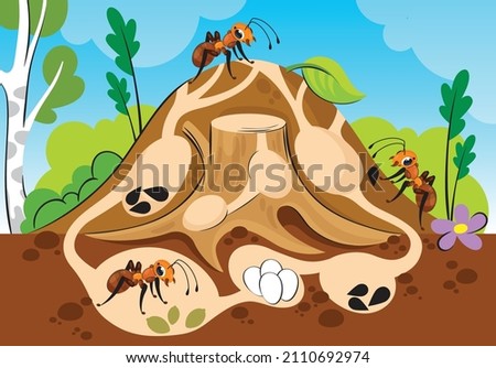 An anthill in a section with ants and passages stands on a stump. Forest Glade