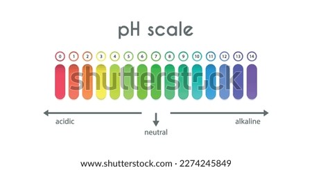 pH value scale. Acid-base balance. Universal indicator.Infographics. Vector illustration