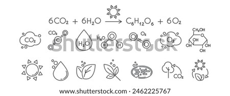 A set of line icons related to photosynthesis. Equation, chloroplast, chlorophyll, sun, water, glucose, sugar, leaf, plant vector illustration. Editable Strokes