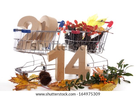 Shopping cart with products of the fall