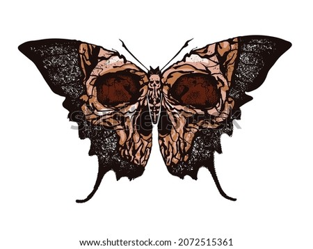 Skull Butterfly. Greater death's head hawkmoth vector abstract illustration isolated on white background.