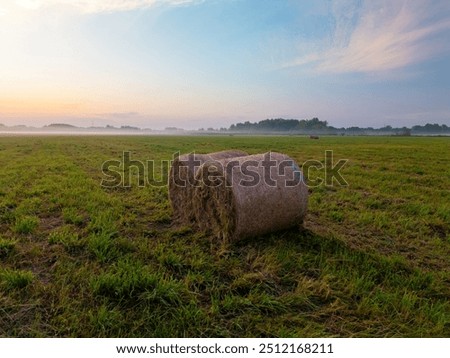 Similar – Image, Stock Photo Late summer rolls Field