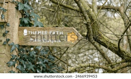 Similar – Image, Stock Photo Wooden path alongside the Vintgar Gorge