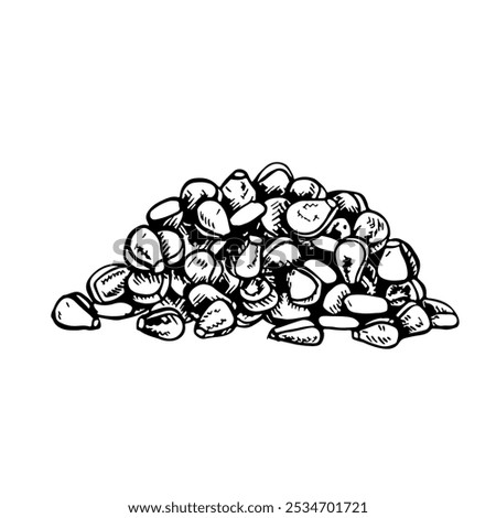 Corn kernels. Vector graphics depicting a bunch of corn kernels. Black and white hand-drawn illustration. On a white background. Great for stickers, banners, posters and packages.