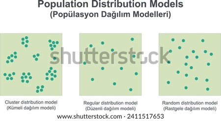 Population Distribution Models, Cluster, Regular, Random distribution. Vector illustration isolated on white background.