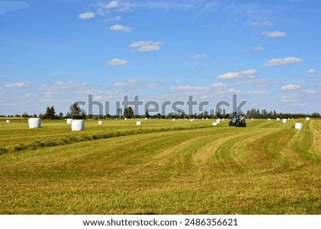 Similar – Image, Stock Photo Making hay