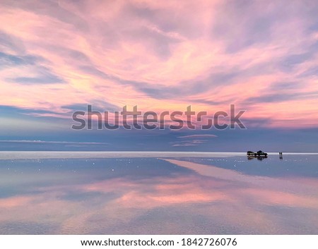 Similar – Image, Stock Photo Wonderful night heaven with stars and flowers