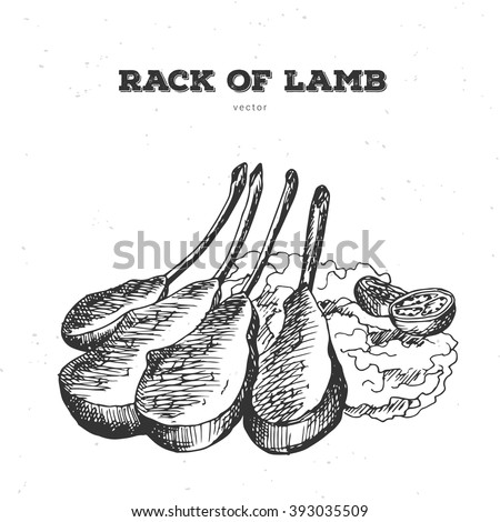 Hand drawn rack of lamb. Meat food. Restaurant menu.