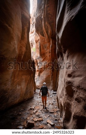 Similar – Image, Stock Photo Man walking on amazing landscape of desert hills on background of blue sky