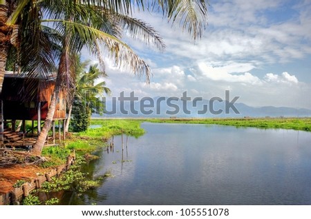 A tropical dream ; a gorgeous landscape by the lakeside with palmtrees and a wooden romantic cabin by the water