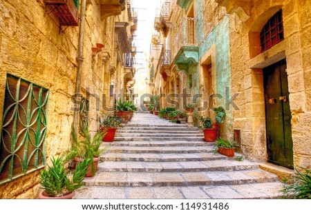 Similar – Image, Stock Photo Colorful Streets of Mdina, Malta