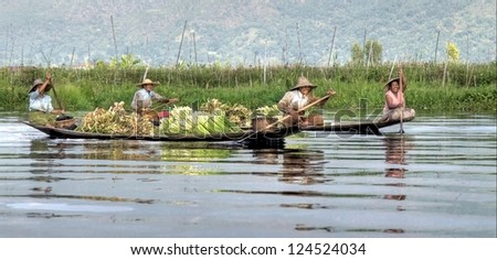 INLE LAKE, MYANMAR - NOV 24: Rowing back to there village after working on the floating gardens on Nov 24, 2011 Inle lake, Myanmar. Inle lake is famous for its unique eco style of aquacultur