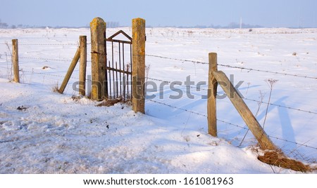 fence with gate in wintertime covered with ice
