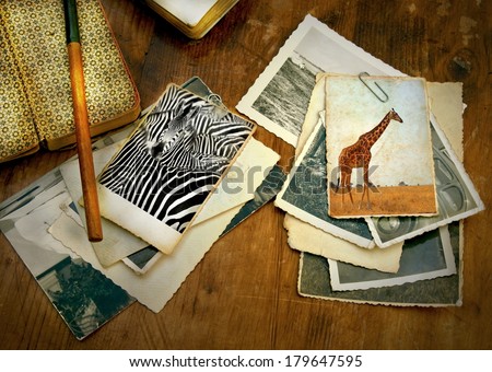 old processed image from a wooden desk filled with vintage objects and old photo\'s from a safari in Africa showing a zebra and giraffe