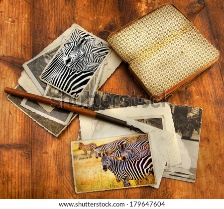 old processed image from a wooden desk filled with vintage objects and old photo\'s from a safari in Africa showing a zebra on two of the images