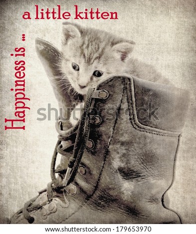 Photo of a little kitten processed with a old vintage grungy look . Attached the words ; Happiness is a little kitten